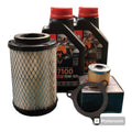 Kit Service Royal Enfield Himalayan/Scram 411cc Service Kit